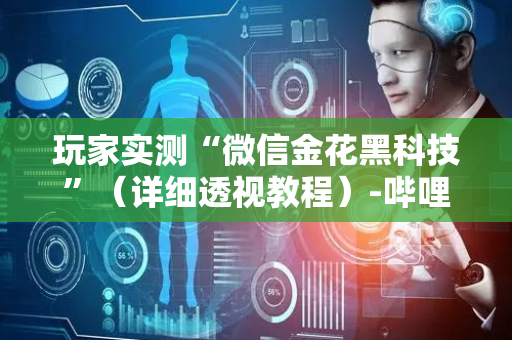 玩家实测“微信金花黑科技”（详细透视教程）-哔哩哔哩