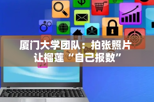 厦门大学团队：拍张照片 让榴莲“自己报数”