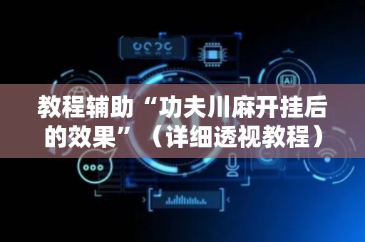 教程辅助“功夫川麻开挂后的效果”（详细透视教程）-哔哩哔哩