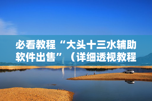 必看教程“大头十三水辅助软件出售”（详细透视教程）-哔哩哔哩