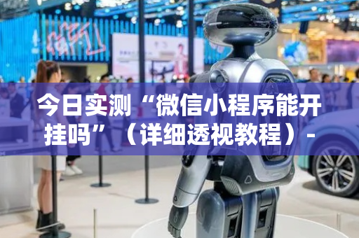 今日实测“微信小程序能开挂吗”（详细透视教程）-哔哩哔哩