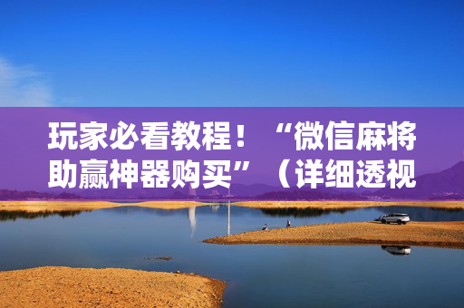 玩家必看教程！“微信麻将助赢神器购买”（详细透视教程）-哔哩哔哩