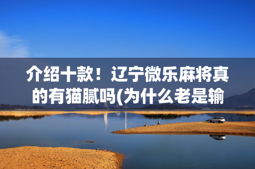 介绍十款！辽宁微乐麻将真的有猫腻吗(为什么老是输)