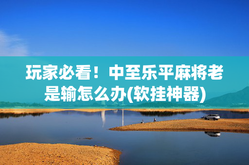 玩家必看！中至乐平麻将老是输怎么办(软挂神器)