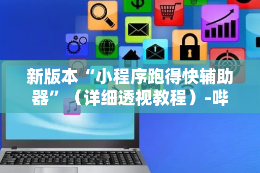 新版本“小程序跑得快辅助器”（详细透视教程）-哔哩哔哩