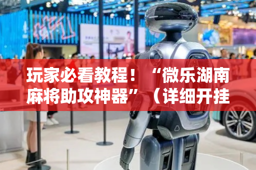 玩家必看教程！“微乐湖南麻将助攻神器”（详细开挂教程）-哔哩哔哩