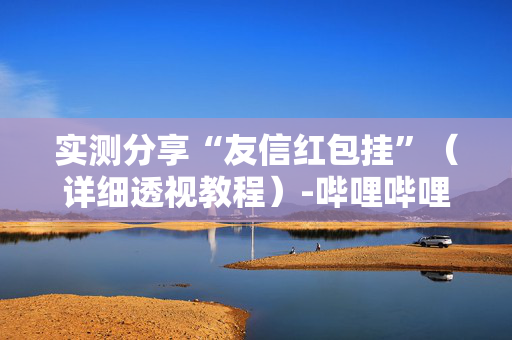 实测分享“友信红包挂”（详细透视教程）-哔哩哔哩