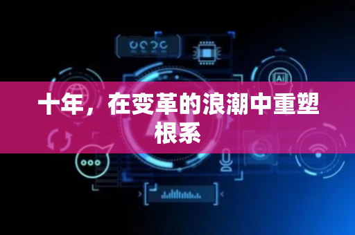 十年，在变革的浪潮中重塑根系