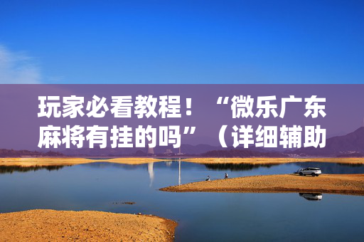 玩家必看教程！“微乐广东麻将有挂的吗”（详细辅助教程）-哔哩哔哩