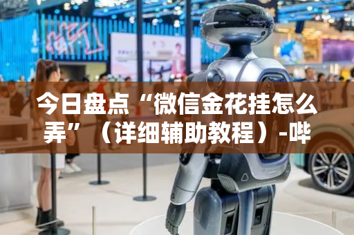 今日盘点“微信金花挂怎么弄”（详细辅助教程）-哔哩哔哩