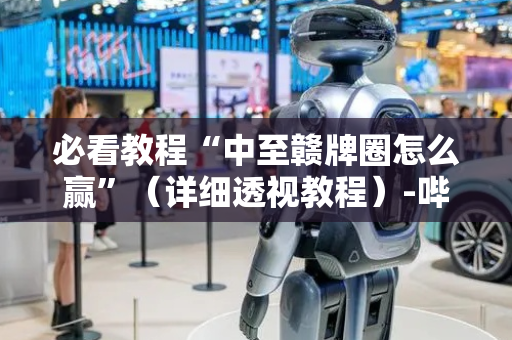 必看教程“中至赣牌圈怎么赢”（详细透视教程）-哔哩哔哩