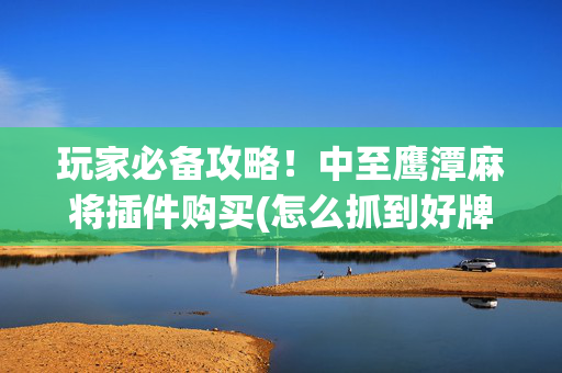 玩家必备攻略！中至鹰潭麻将插件购买(怎么抓到好牌)