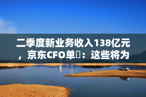 二季度新业务收入138亿元，京东CFO单甦：这些将为公司带来长期价值