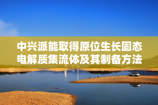 中兴派能取得原位生长固态电解质集流体及其制备方法和应用等相关专利