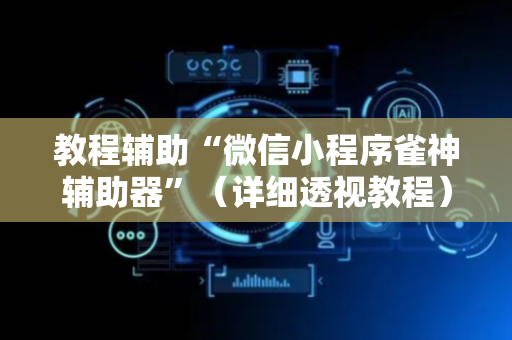 教程辅助“微信小程序雀神辅助器”（详细透视教程）-哔哩哔哩