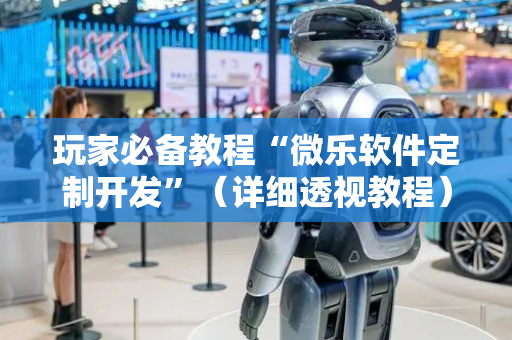 玩家必备教程“微乐软件定制开发”（详细透视教程）-哔哩哔哩