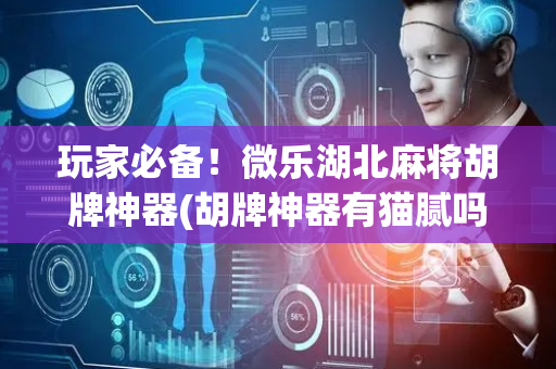 玩家必备！微乐湖北麻将胡牌神器(胡牌神器有猫腻吗)