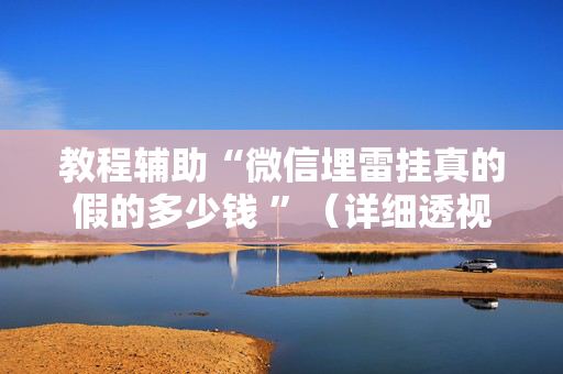 教程辅助“微信埋雷挂真的假的多少钱 ”（详细透视教程）-哔哩哔哩