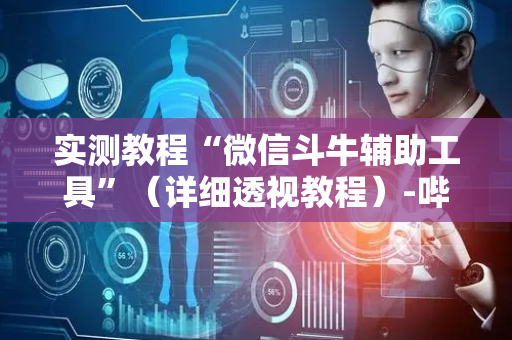 实测教程“微信斗牛辅助工具”（详细透视教程）-哔哩哔哩