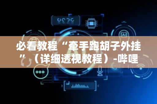 必看教程“牵手跑胡子外挂”（详细透视教程）-哔哩哔哩