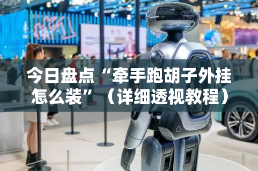 今日盘点“牵手跑胡子外挂怎么装”（详细透视教程）-哔哩哔哩