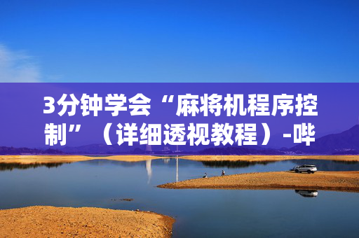 3分钟学会“麻将机程序控制”（详细透视教程）-哔哩哔哩