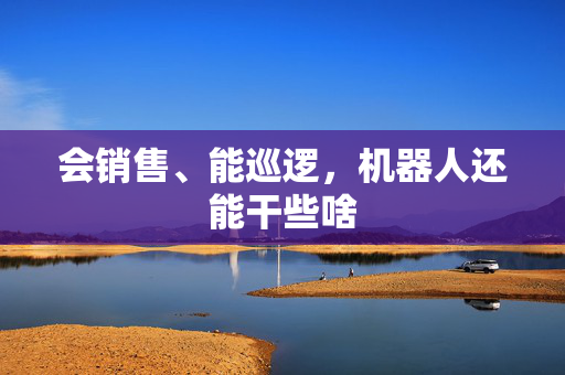 会销售、能巡逻，机器人还能干些啥