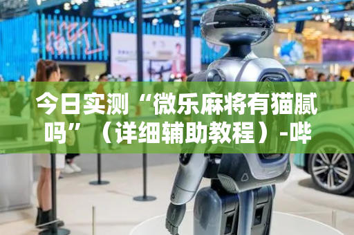 今日实测“微乐麻将有猫腻吗”（详细辅助教程）-哔哩哔哩