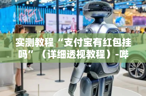 实测教程“支付宝有红包挂吗”（详细透视教程）-哔哩哔哩