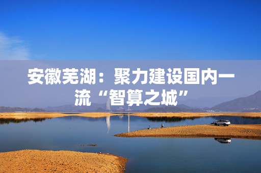 安徽芜湖：聚力建设国内一流“智算之城”