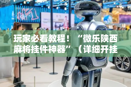 玩家必看教程！“微乐陕西麻将挂件神器”（详细开挂教程）-哔哩哔哩