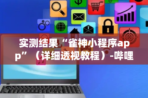 实测结果“雀神小程序app”（详细透视教程）-哔哩哔哩