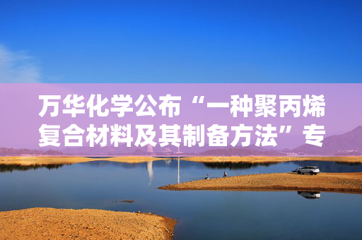 万华化学公布“一种聚丙烯复合材料及其制备方法”专利