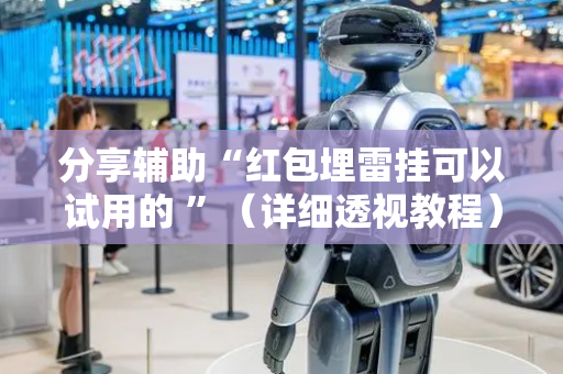 分享辅助“红包埋雷挂可以试用的 ”（详细透视教程）-哔哩哔哩
