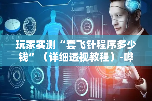玩家实测“套飞针程序多少钱”（详细透视教程）-哔哩哔哩