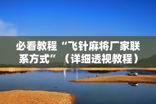 必看教程“飞针麻将厂家联系方式”（详细透视教程）-哔哩哔哩