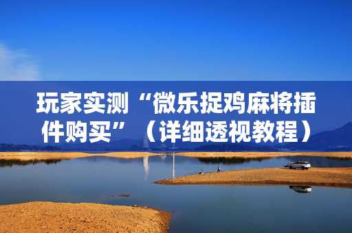 玩家实测“微乐捉鸡麻将插件购买”（详细透视教程）-哔哩哔哩