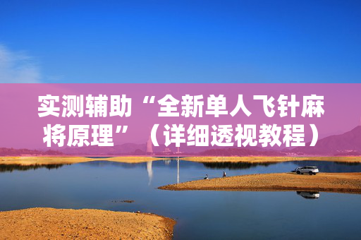 实测辅助“全新单人飞针麻将原理”（详细透视教程）-哔哩哔哩