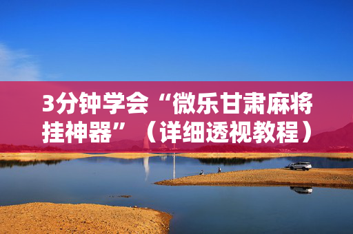 3分钟学会“微乐甘肃麻将挂神器”（详细透视教程）-哔哩哔哩