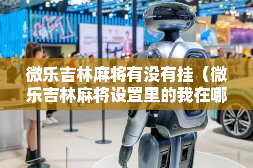 微乐吉林麻将有没有挂（微乐吉林麻将设置里的我在哪找）
