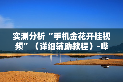 实测分析“手机金花开挂视频”（详细辅助教程）-哔哩哔哩
