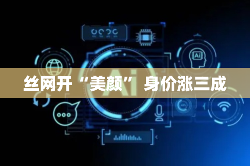 丝网开“美颜” 身价涨三成