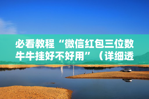 必看教程“微信红包三位数牛牛挂好不好用”（详细透视教程）-哔哩哔哩