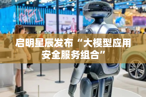 启明星辰发布“大模型应用安全服务组合”