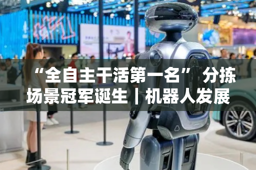 “全自主干活第一名” 分拣场景冠军诞生｜机器人发展看北京