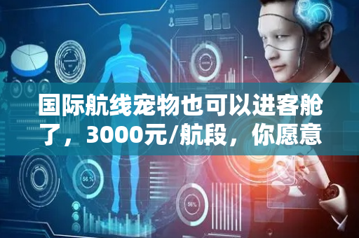 国际航线宠物也可以进客舱了，3000元/航段，你愿意买单吗？