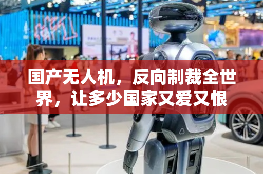国产无人机，反向制裁全世界，让多少国家又爱又恨