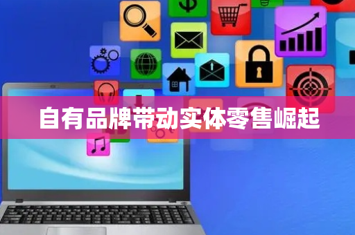 自有品牌带动实体零售崛起