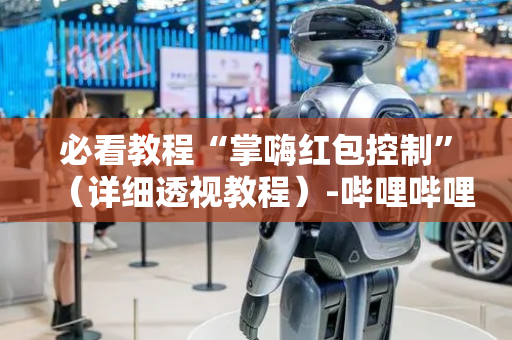 必看教程“掌嗨红包控制”（详细透视教程）-哔哩哔哩