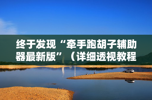 终于发现“牵手跑胡子辅助器最新版”（详细透视教程）-哔哩哔哩